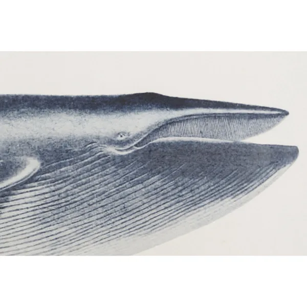 S3054552_2