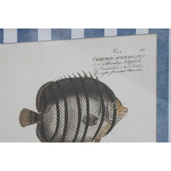 S3059855_1