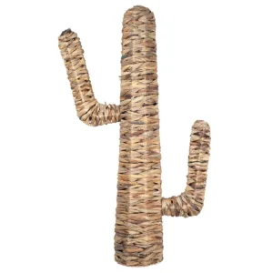 Cactus xl hoja de banana
