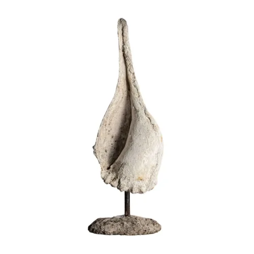 Figura decorativa concha