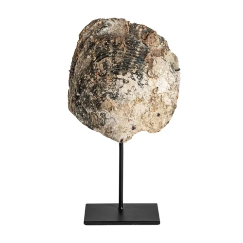 Figura decorativa de concha y hierro