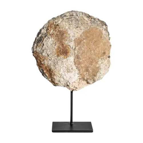 Figura decorativa de concha y hierro