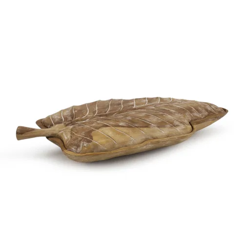 CAJA EROSI HOJA 46*25*8