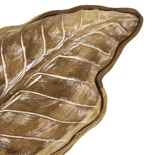 CAJA EROSI HOJA 46*25*8