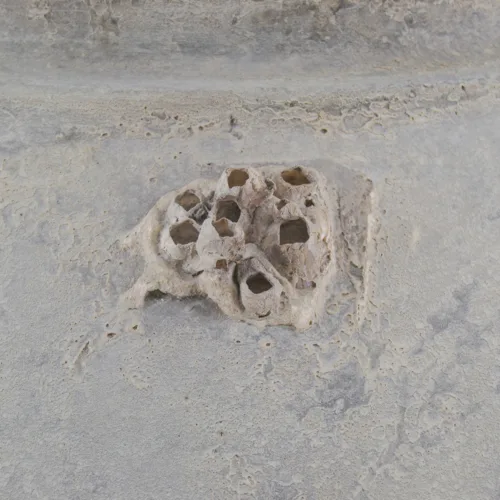 JARRÓN SAMOA ASTEROIDE 60*60*70