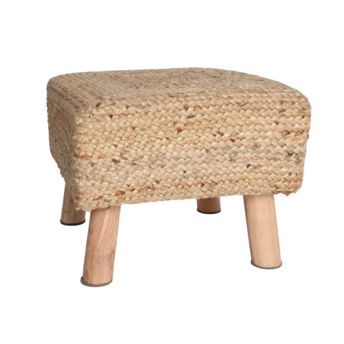 REPOSAPIÉS THIESI