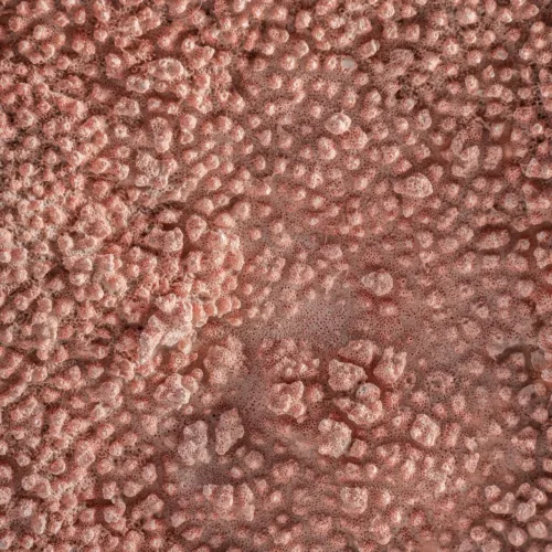 Figura decorativa Sakan coral
